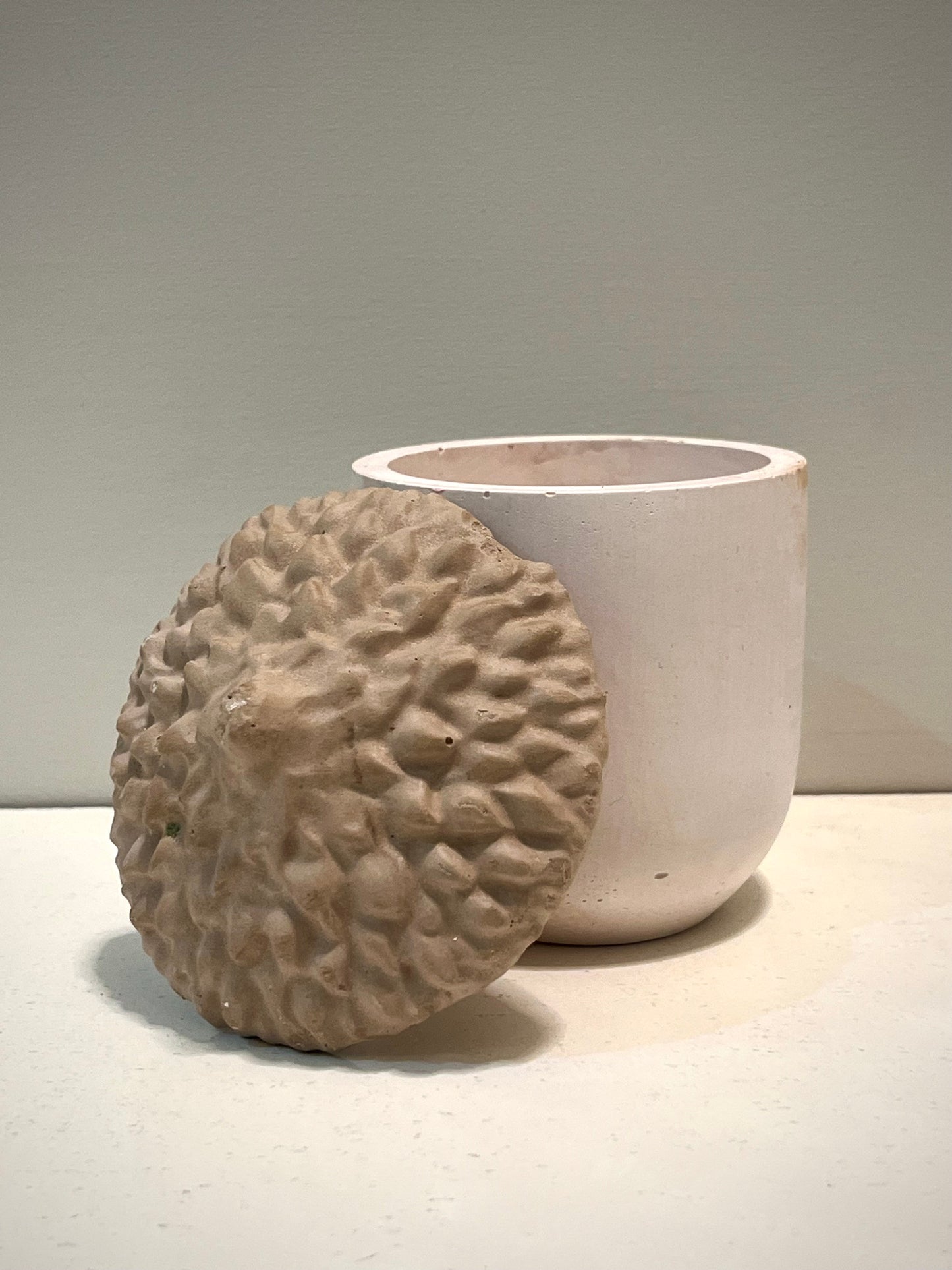 Acorn Holder